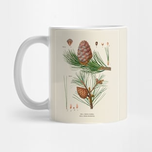 Pine Tree Antique Botanical Illustration Mug